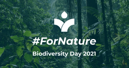 May 22nd: the most important International Day for Biological Diversity to date