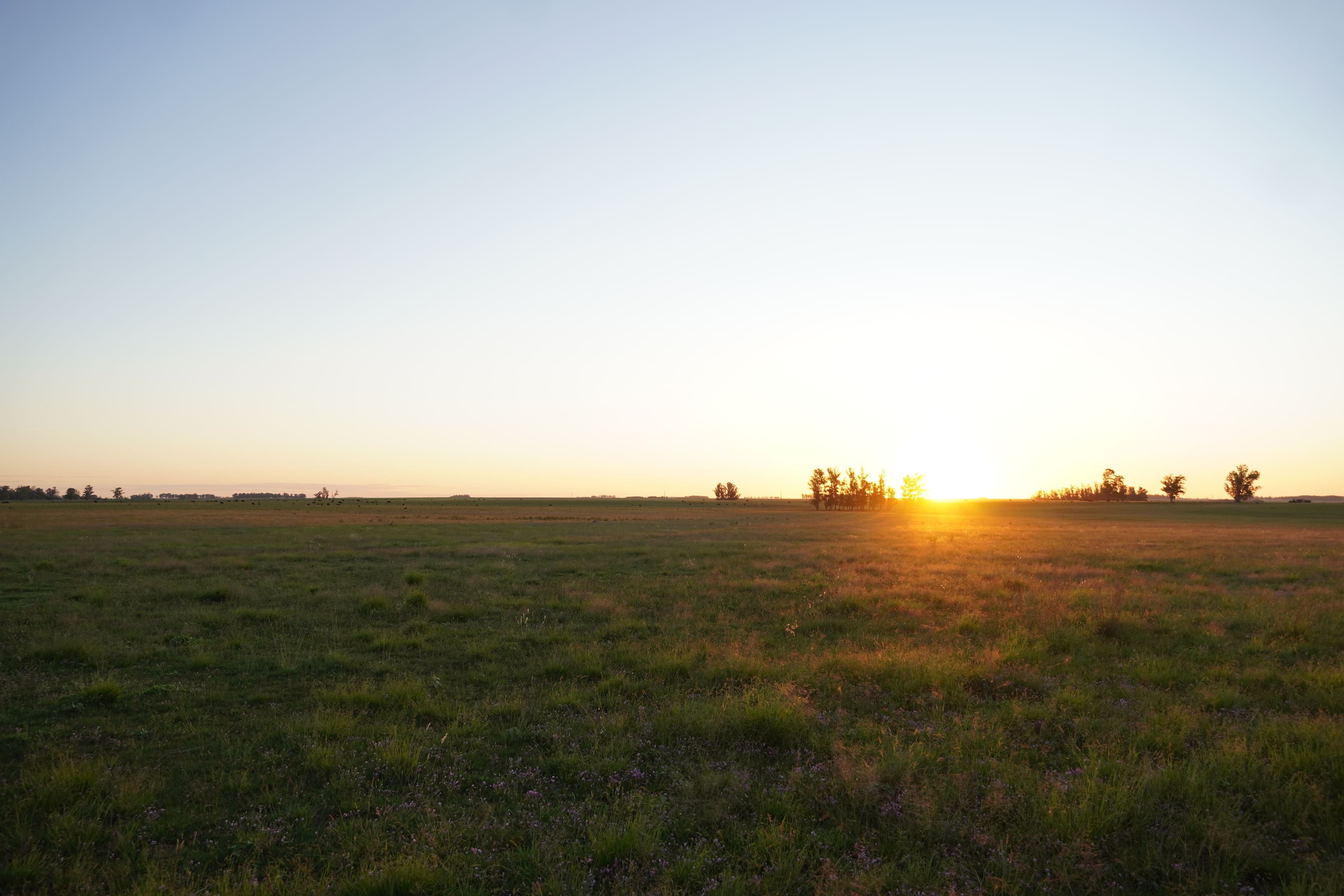 'Why Grasslands Matter for Nature and Investors' at LCAW banner