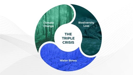 An Action Plan To Tackle The Triple Crisis