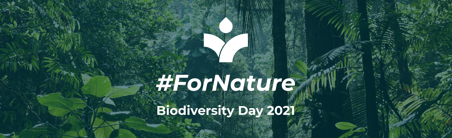 May 22nd: the most important International Day for Biological Diversity to date
